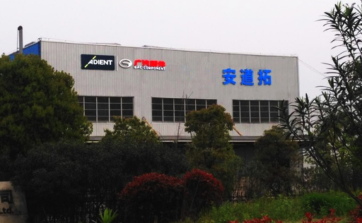 Odoo • 文字和图像