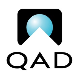 QAD ERP Implementation Service