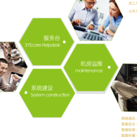 ERP运维服务（AMS)